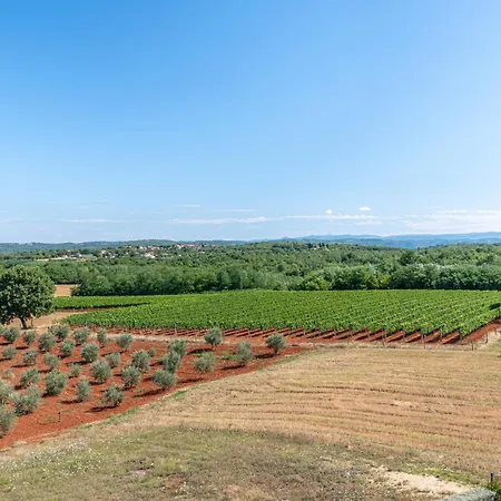 Grisi Villa Vižinada