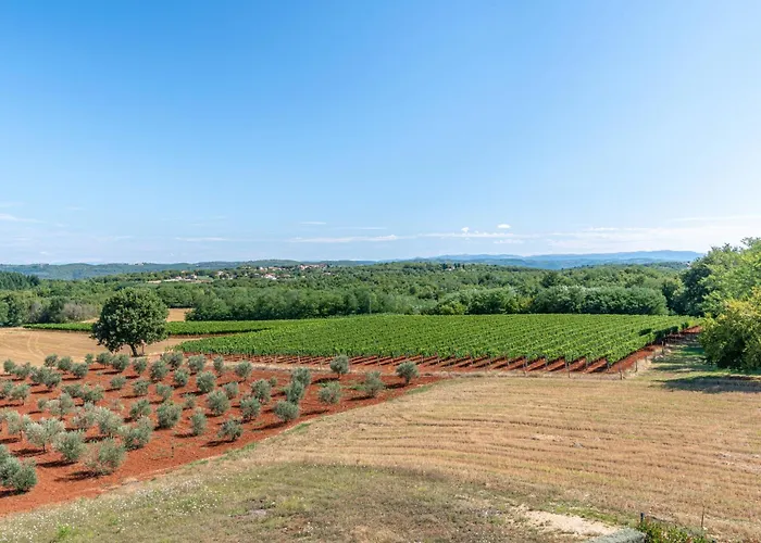 Grisi By Istra Vacation Villa Vizinada